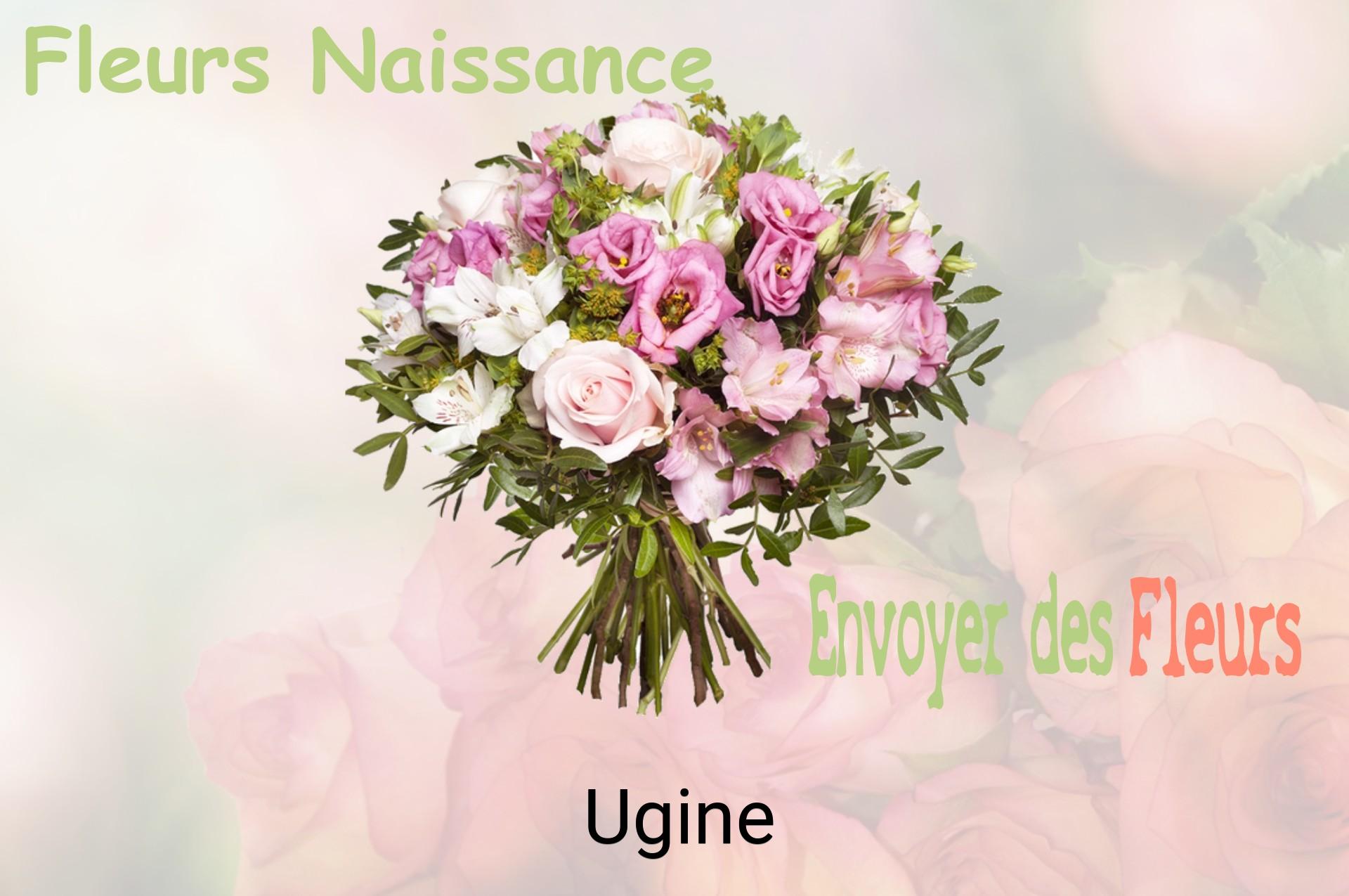 Bouquet de fleurs de naissance livré à Ugine